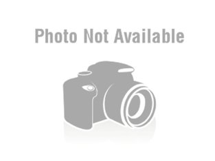 Tema masterstudy para descargar